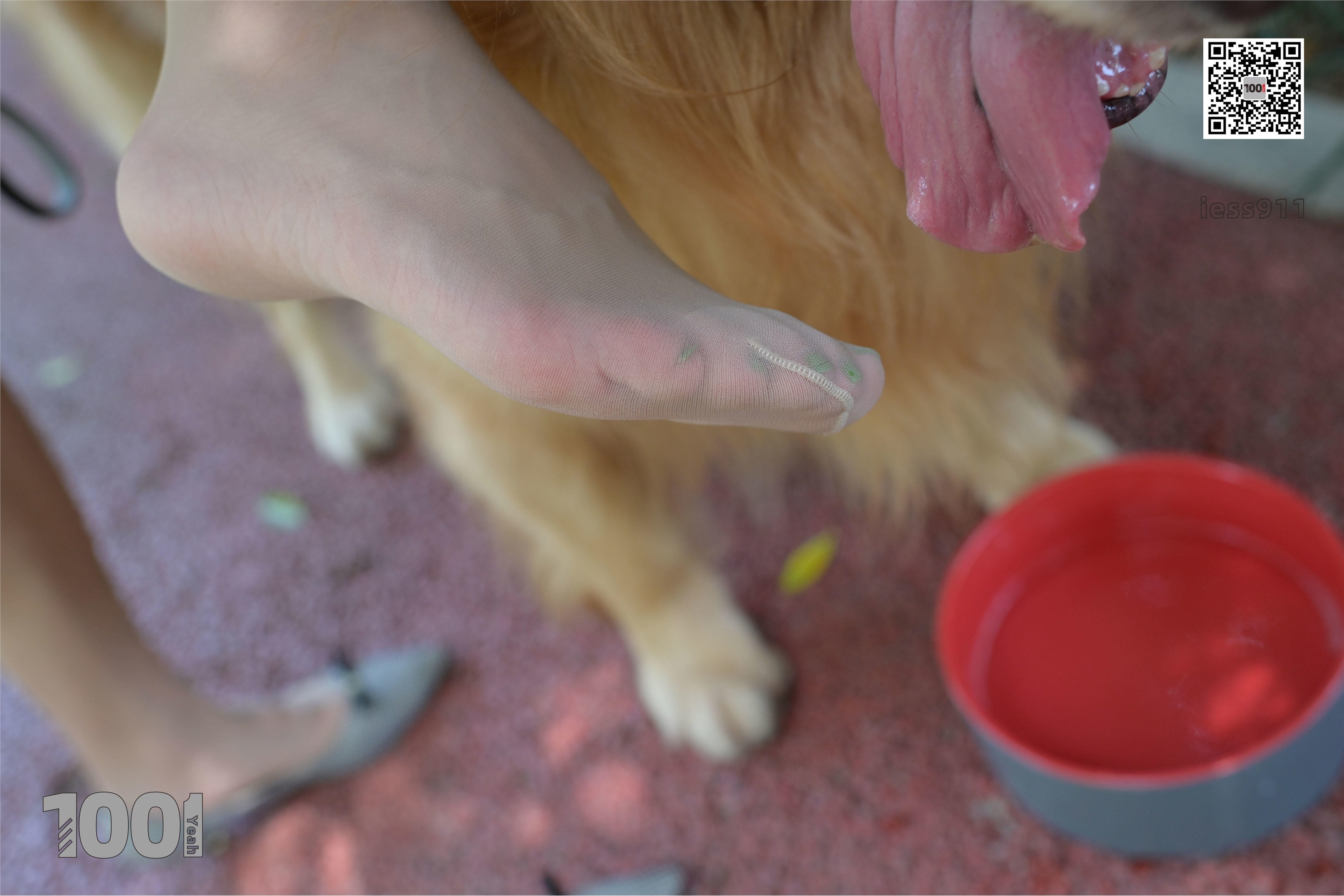 IESS异思趣向 一千零一夜 模特：真真《家有萌宠1》